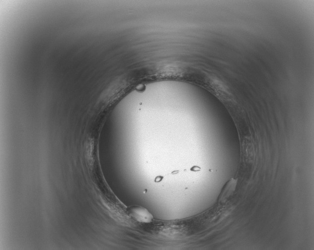 X0000067340550200604071354