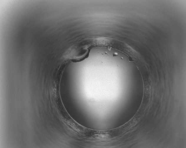 X0000067340552200604071354