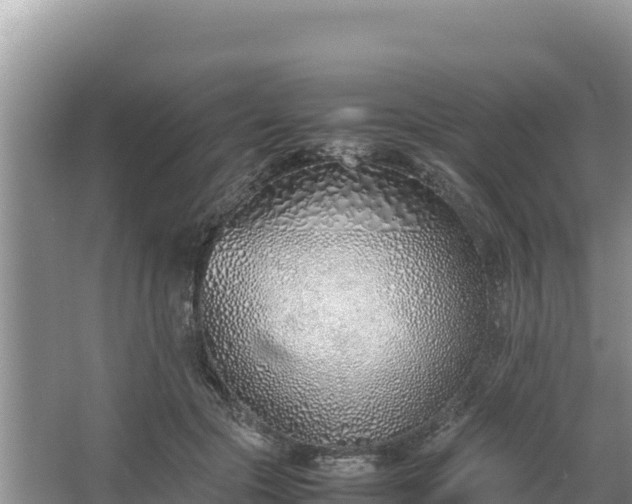 X0000067340553200604071354