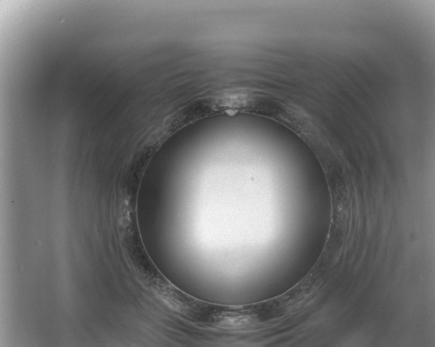 X0000067340555200604071354