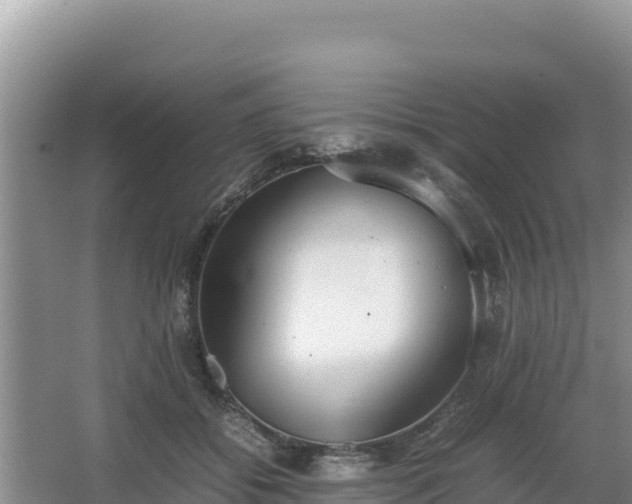 X0000067340556200604071354