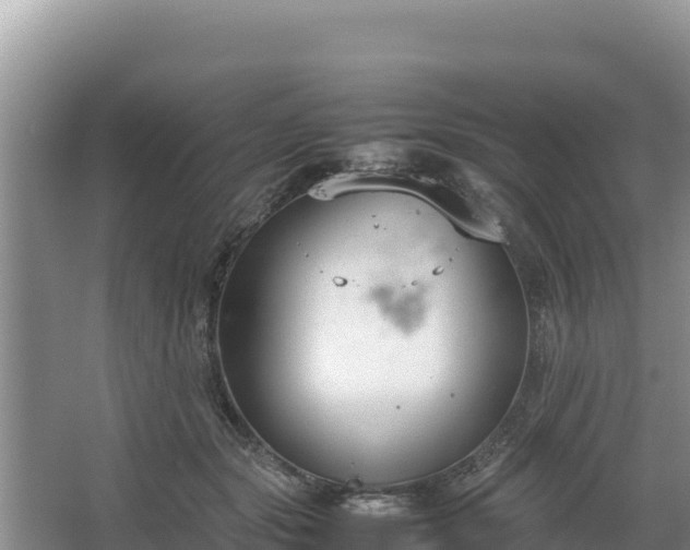 X0000067340557200604071354