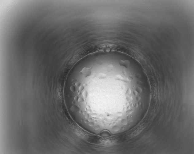 X0000067340561200604071354