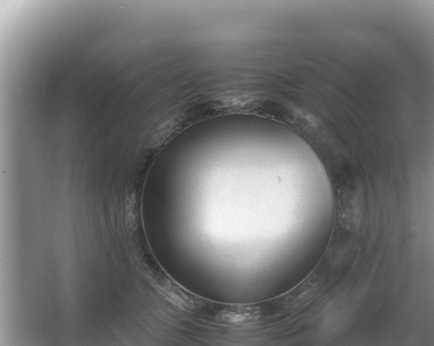 X0000067340563200604071354