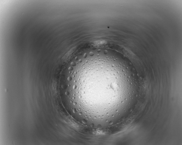 X0000067340565200604071354