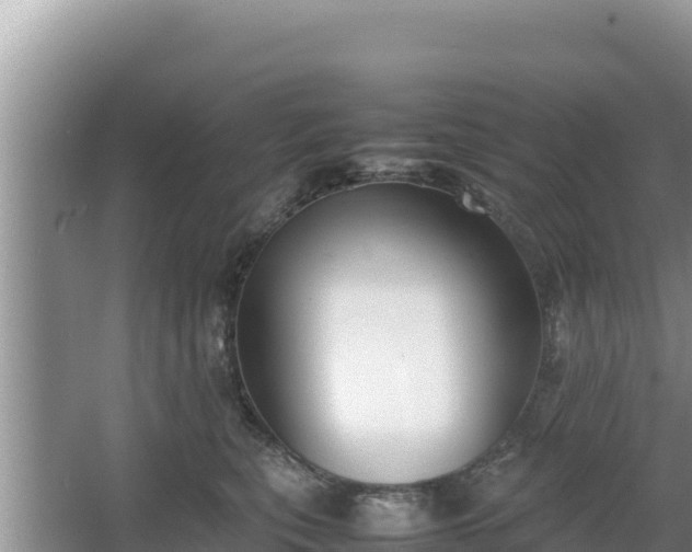 X0000067340567200604071354