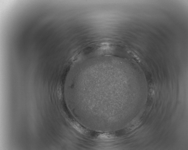 X0000067340568200604071354