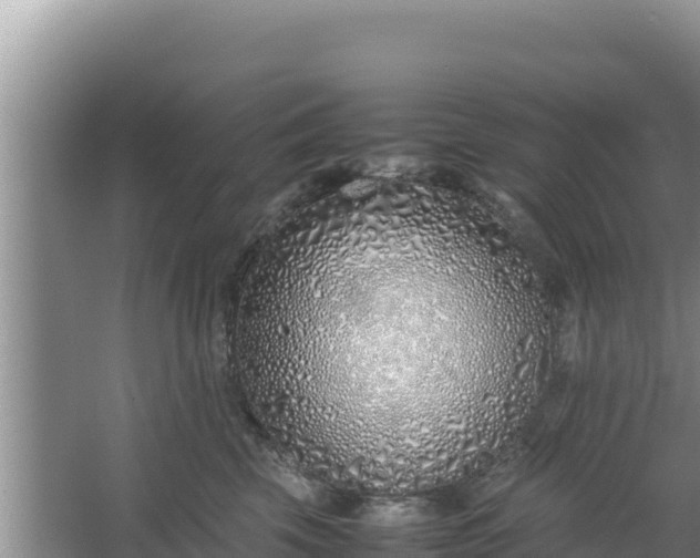 X0000067340569200604071354