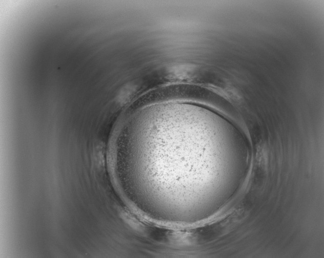 X0000067340570200604071354