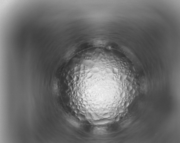 X0000067340573200604071354