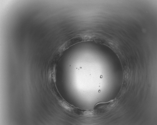 X0000067340574200604071354