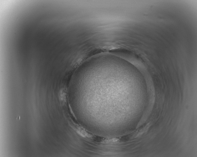 X0000067340576200604071354