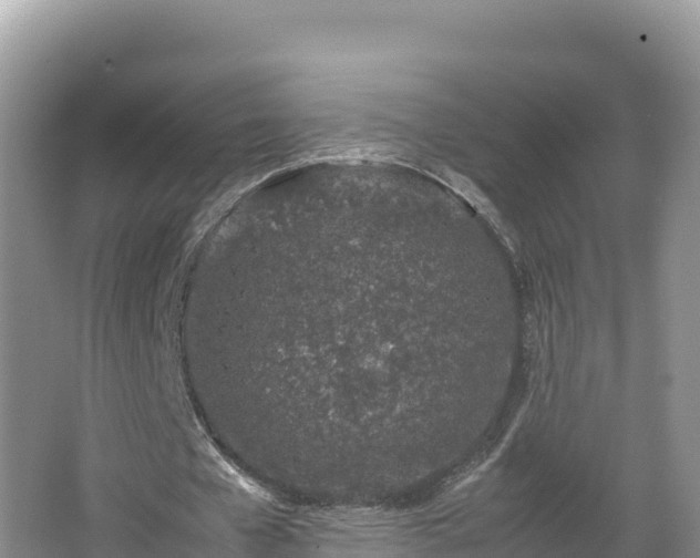 X0000067340577200604071353