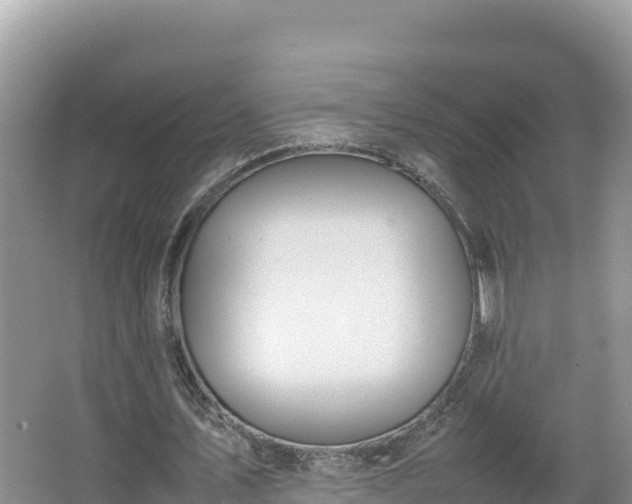 X0000067340579200604071353