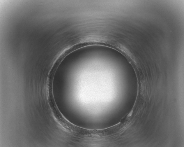 X0000067340580200604071353