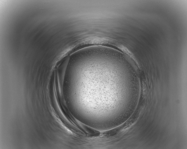 X0000067340581200604071353