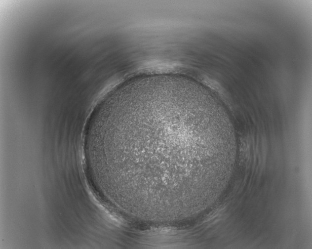 X0000067340582200604071353