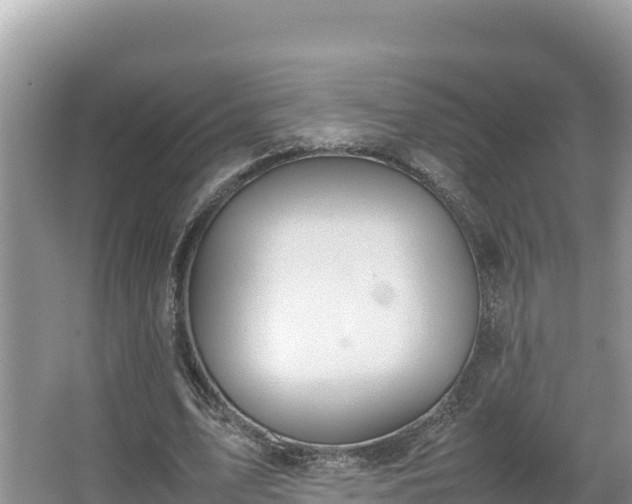 X0000067340583200604071353