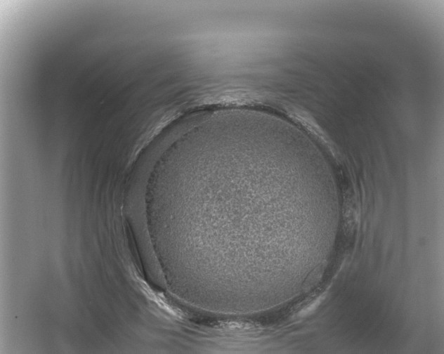 X0000067340585200604071353