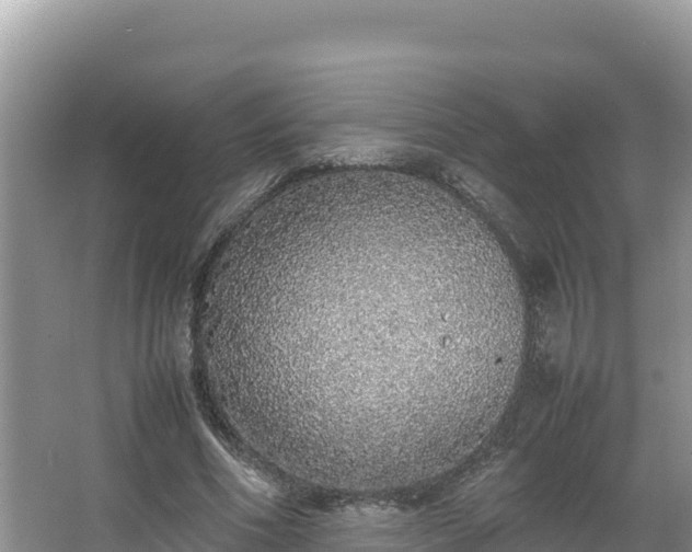 X0000067340586200604071353