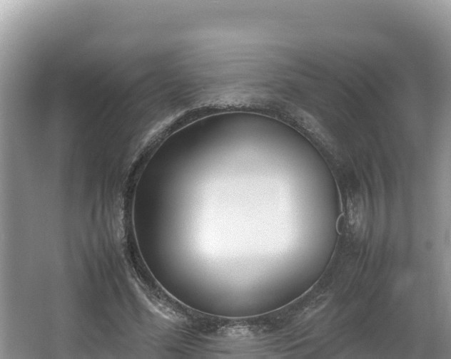 X0000067340588200604071353