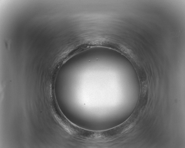 X0000067340589200604071353