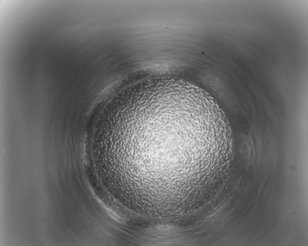 X0000067340590200604071353