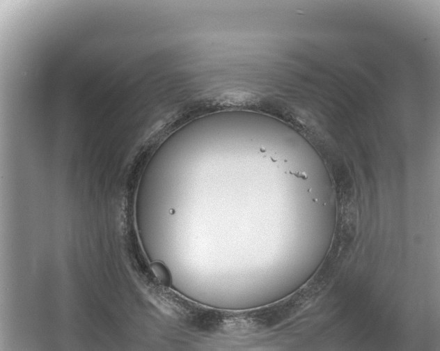 X0000067340591200604071353