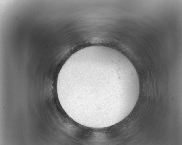 X0000067340592200604071353