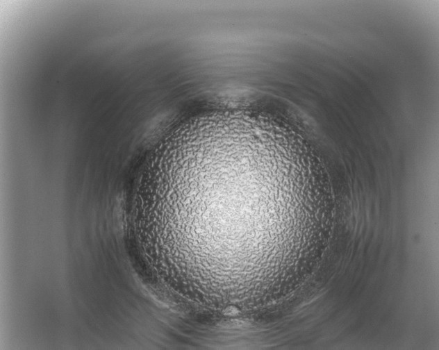 X0000067340594200604071353