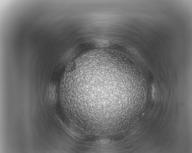 X0000067340598200604071353