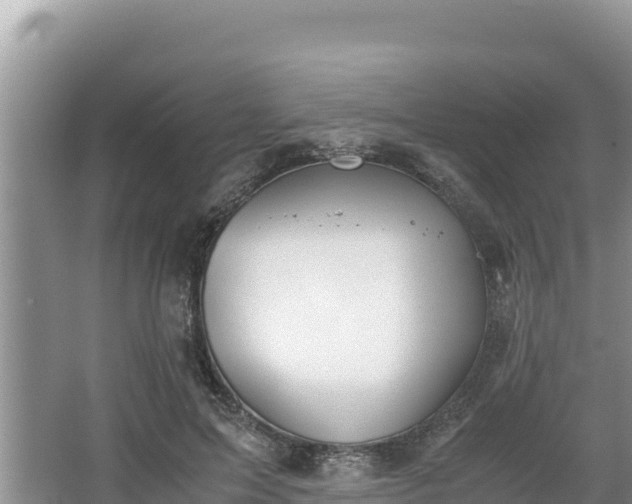 X0000067340599200604071353