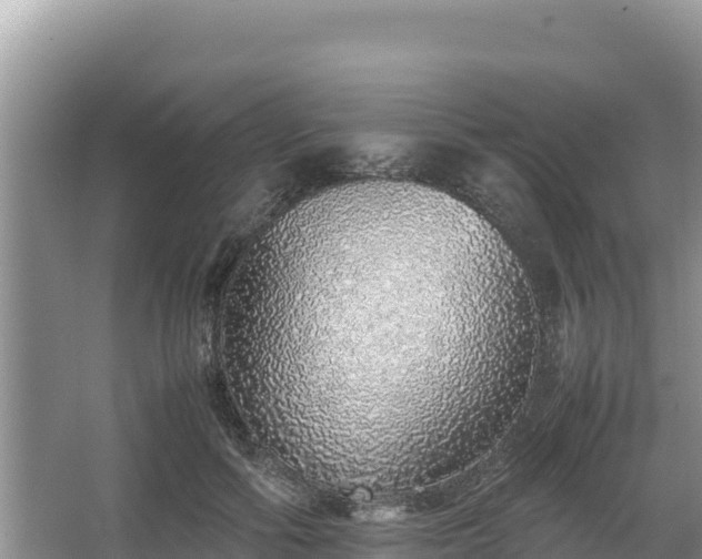 X0000067340602200604071353