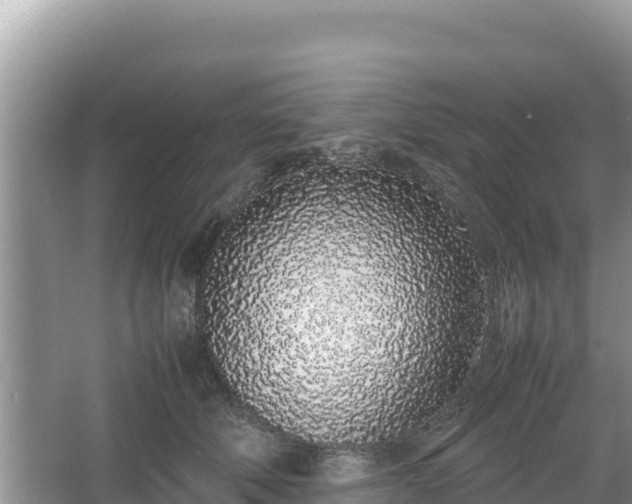 X0000067340610200604071353