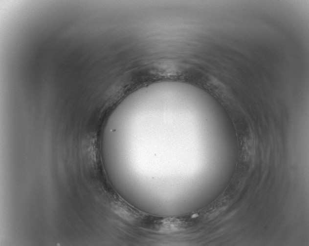 X0000067340612200604071353