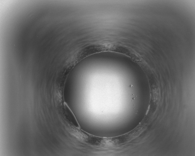 X0000067340613200604071353