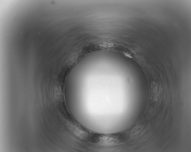 X0000067340614200604071353