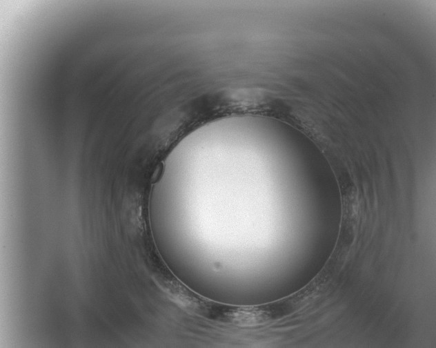 X0000067340615200604071353