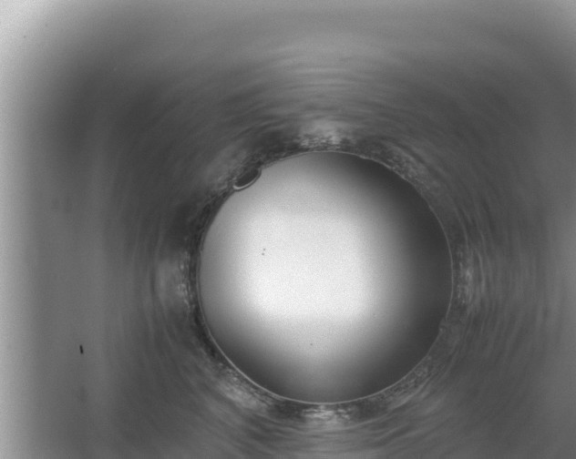 X0000067340616200604071353