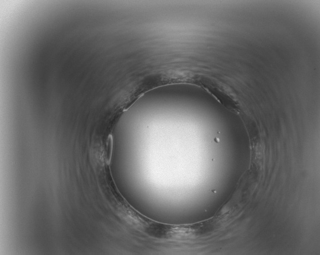 X0000067340617200604071353