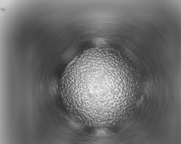 X0000067340618200604071353