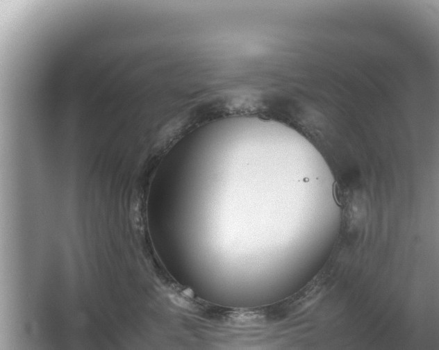 X0000067340619200604071353