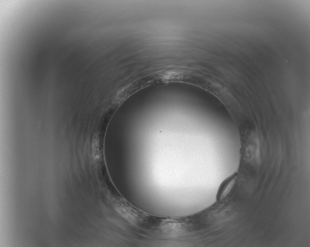 X0000067340620200604071353