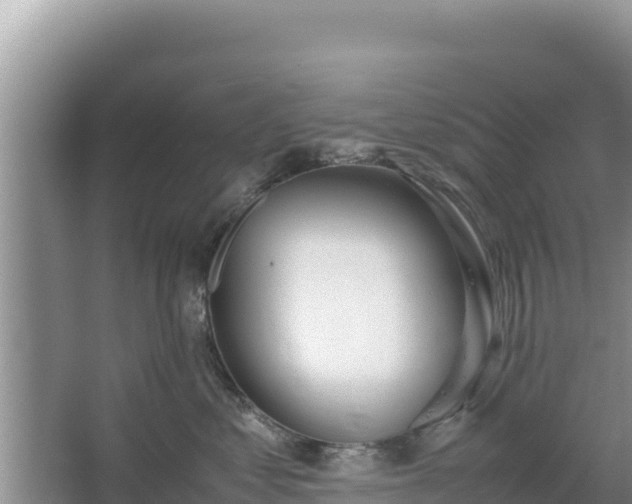 X0000067340621200604071353