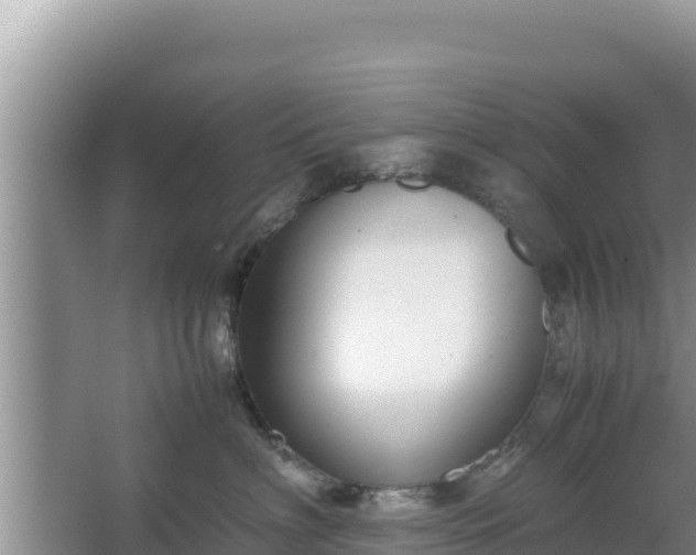 X0000067340622200604071353