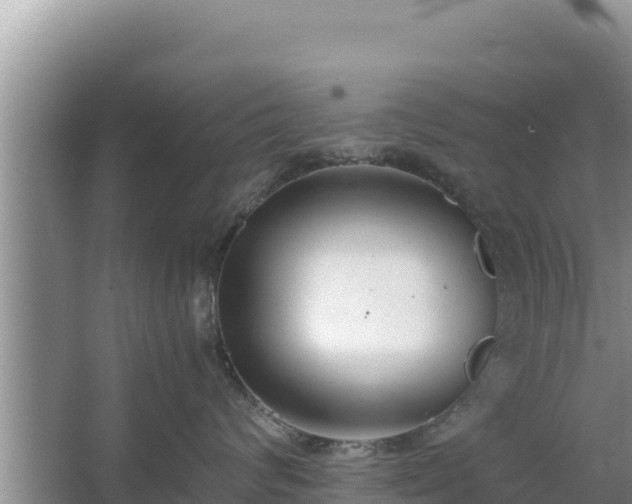 X0000067340624200604071353