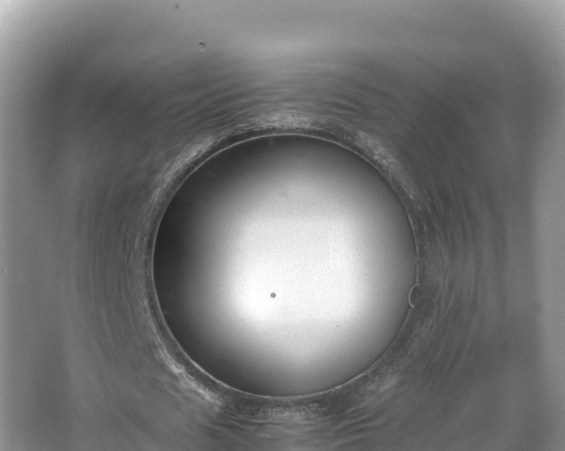 X0000067340625200604071352