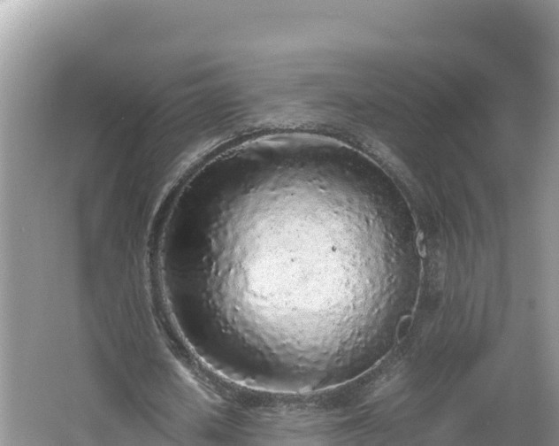 X0000067340626200604071352