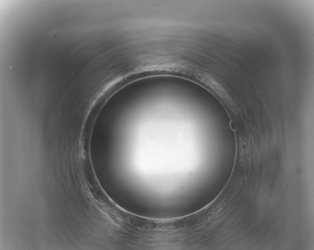 X0000067340628200604071352