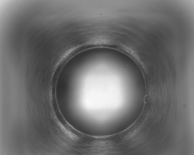 X0000067340629200604071352